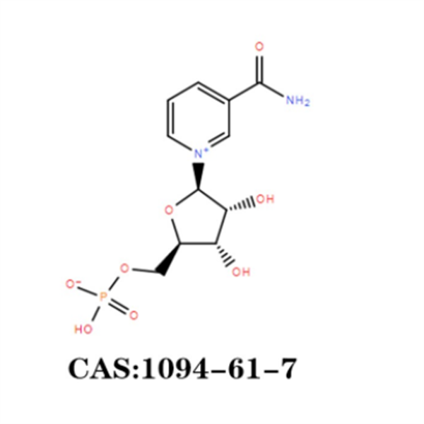 nootropic products BETA-Nicotinamide Mononucleotide NMN CAS1094-61-7