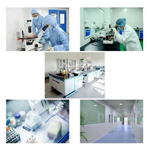 99% Nootropics Alpha GPC CAS 28319-77-9